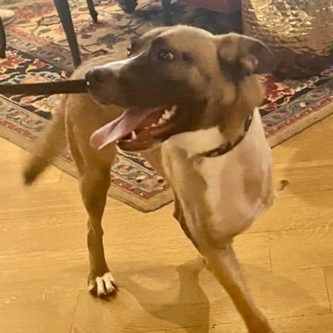 Vinnie photo 2