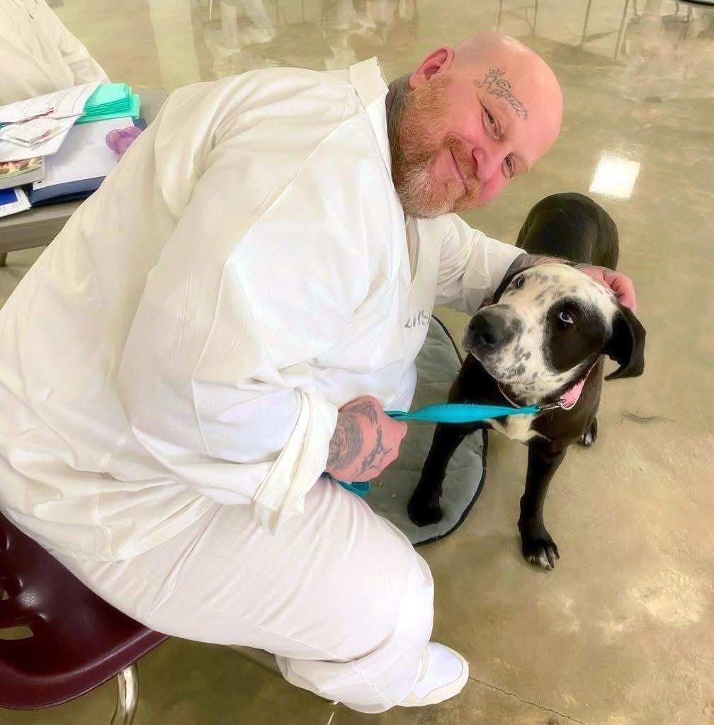 Celeste — thumbnail 5