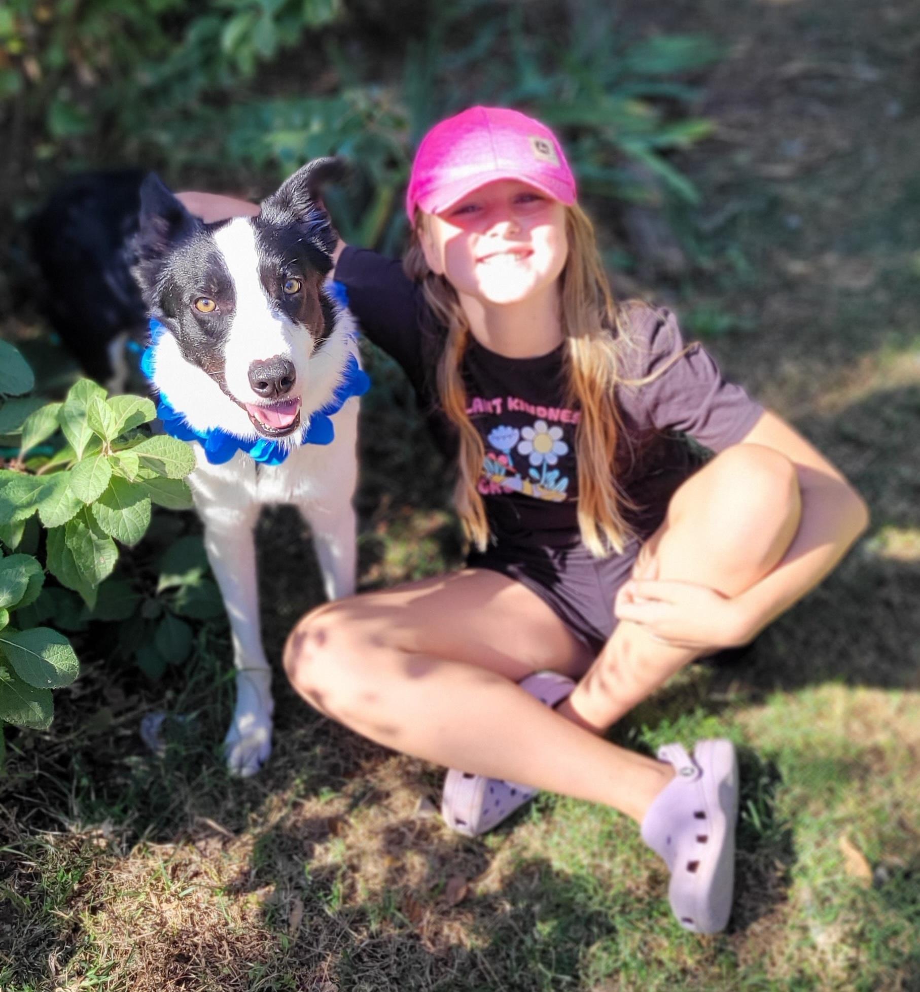 Enlarge Oscar, a Adoptable Border Collie in Vernon, TX image 2/4