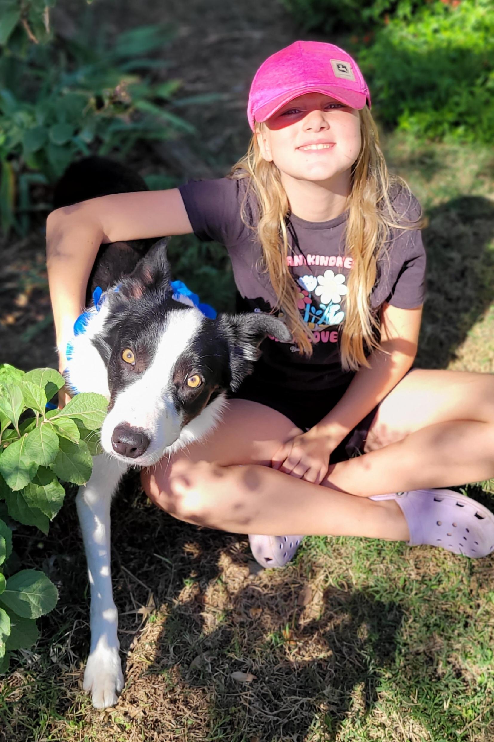 Enlarge Oscar, a Adoptable Border Collie in Vernon, TX image 4/4