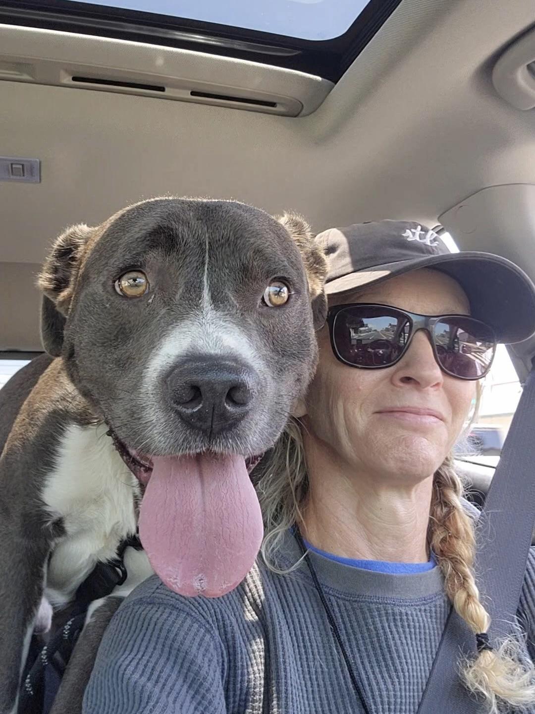 Enlarge Chuck, a ADOPTABLE mixed breed in Rancho Palos Verdes, CA image 3/6