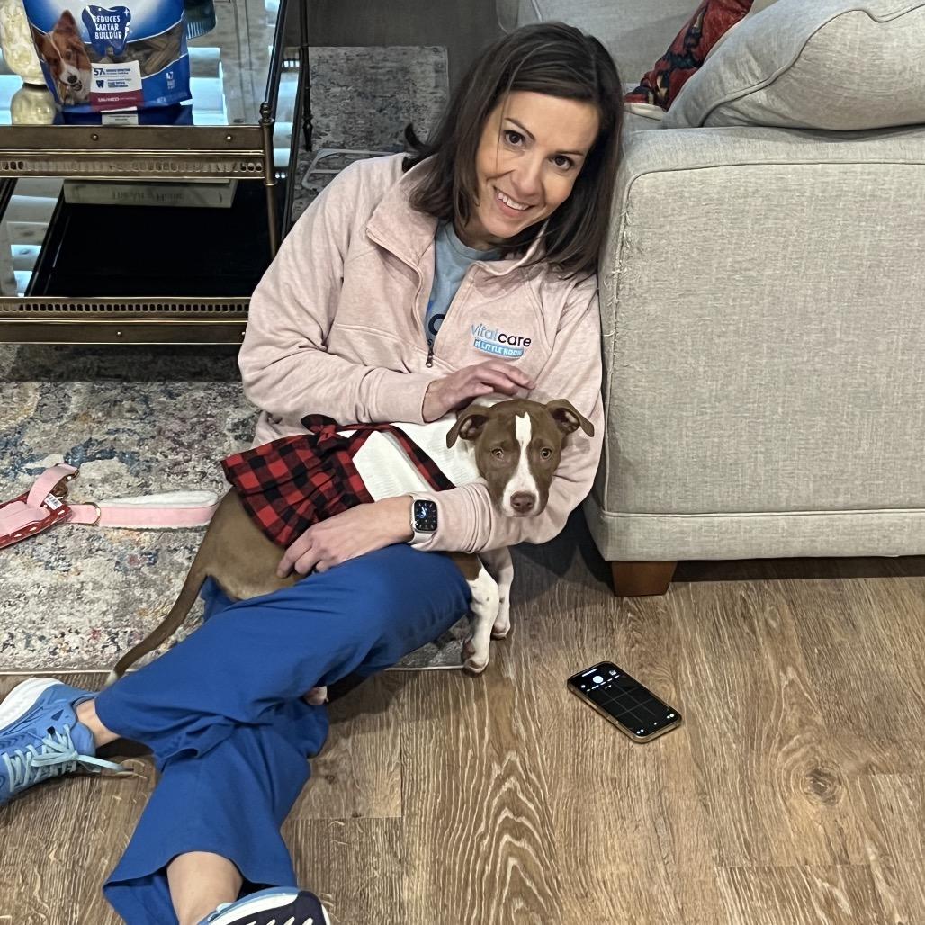 Enlarge Harley, a Adoptable Mixed Breed in Little Rock, AR image 3/5