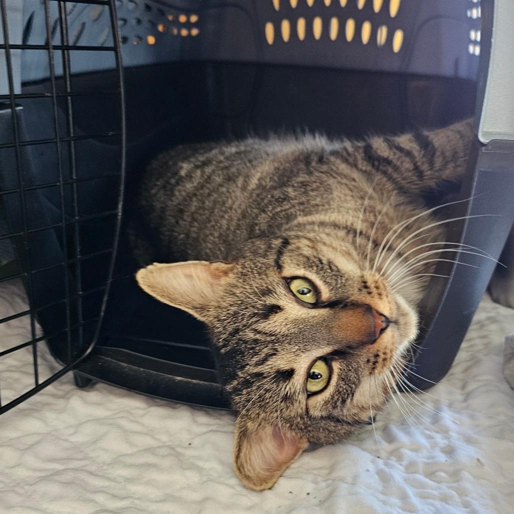 Catrick Swayze — thumbnail 2