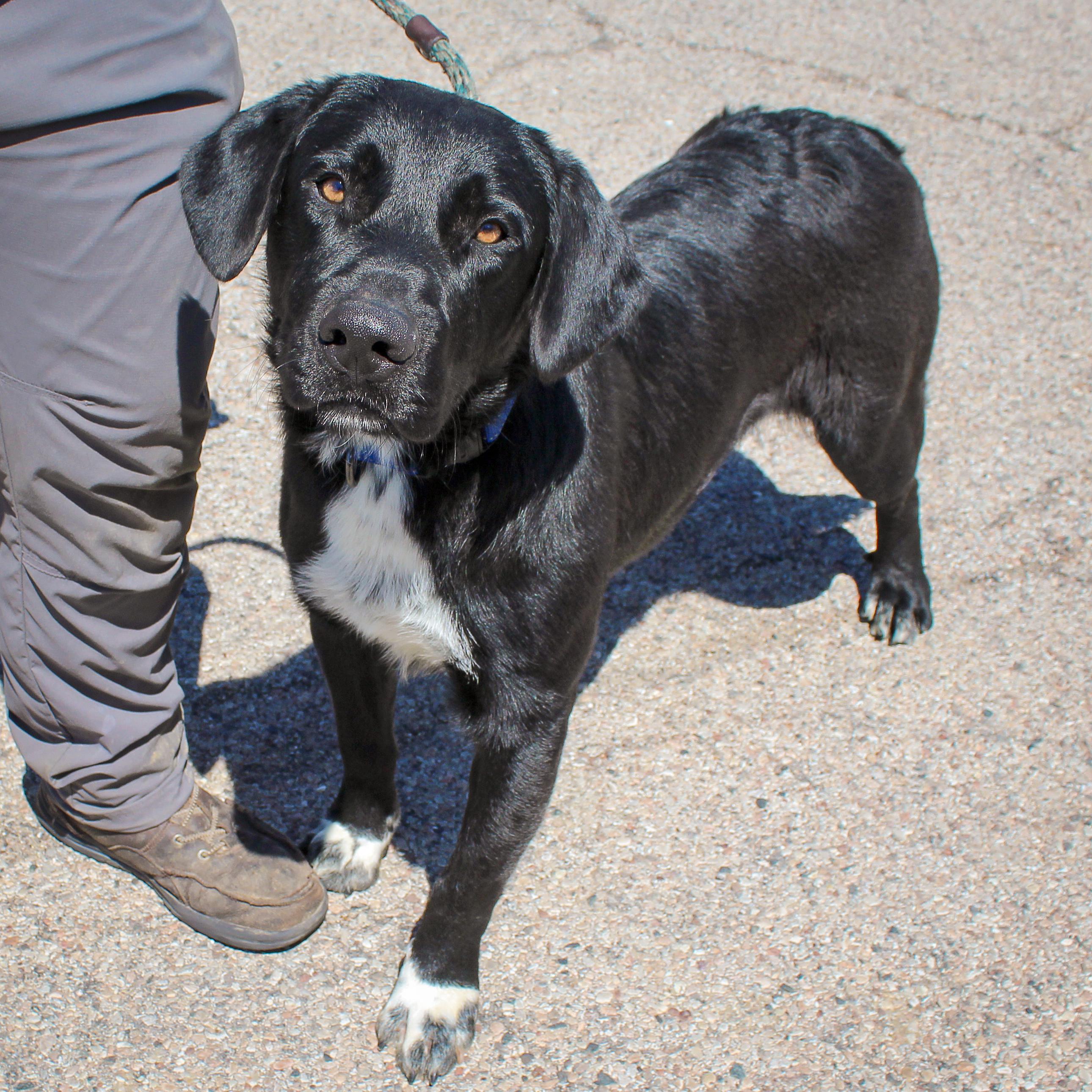 Beauregard thumbnail 2