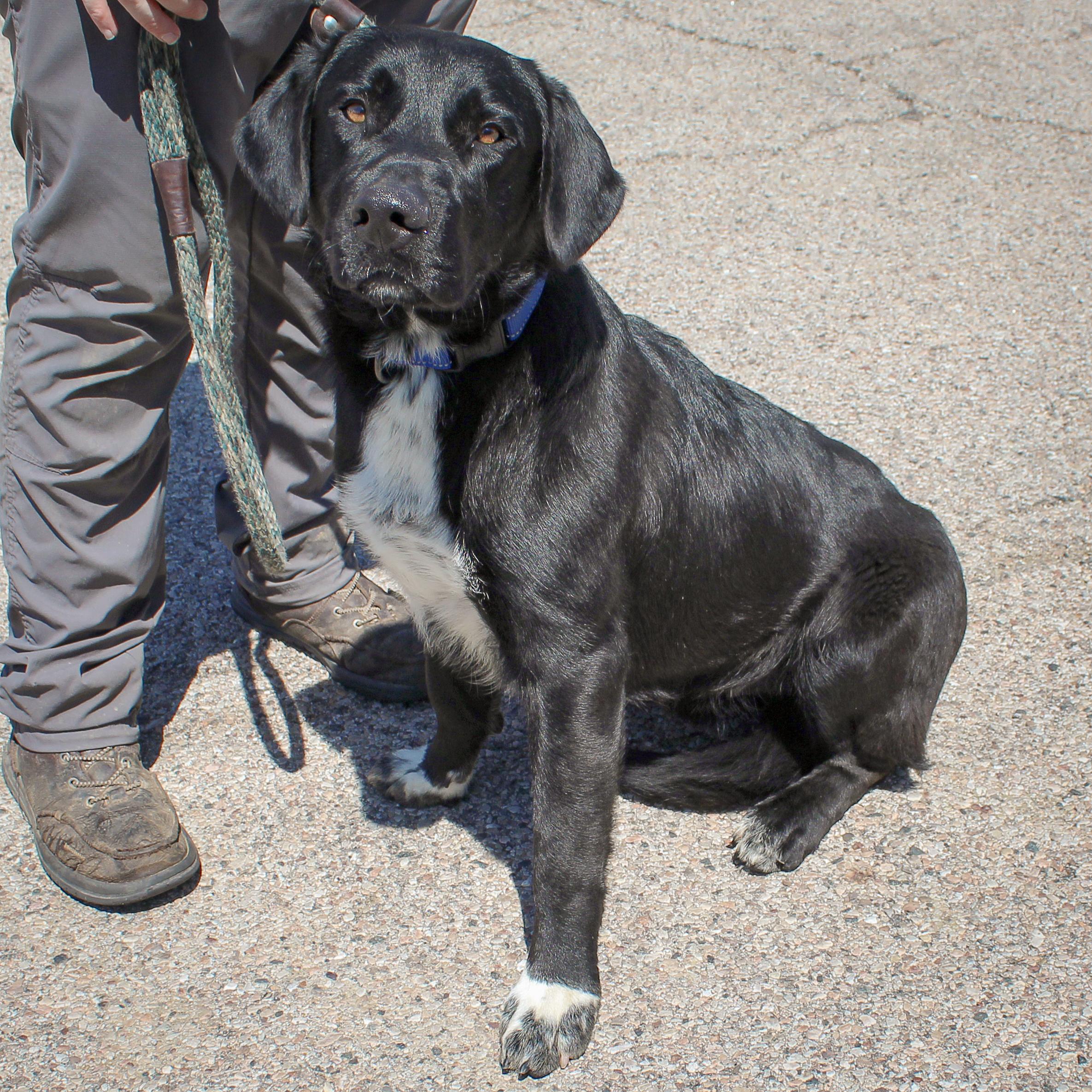 Beauregard photo 3