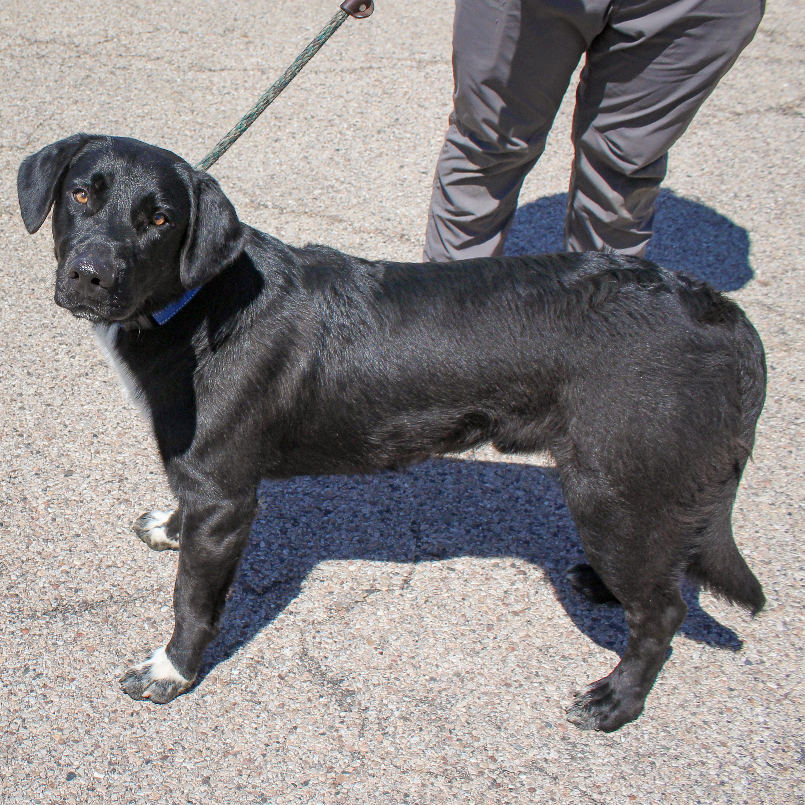 Beauregard photo 4