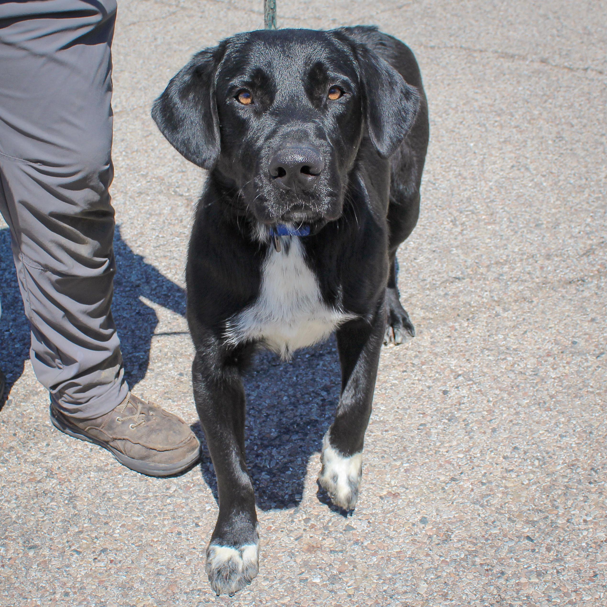 Beauregard photo 5