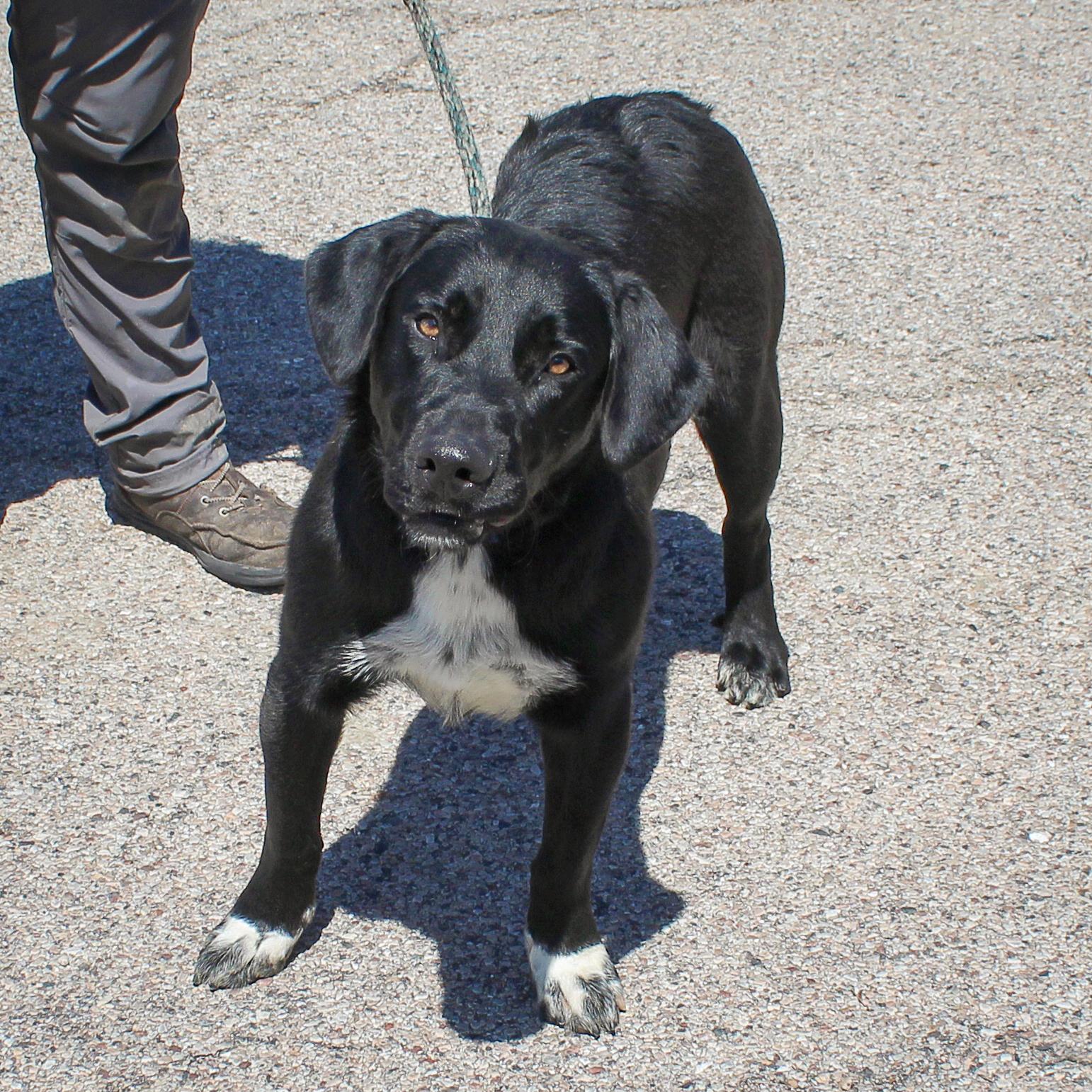 Beauregard thumbnail 6