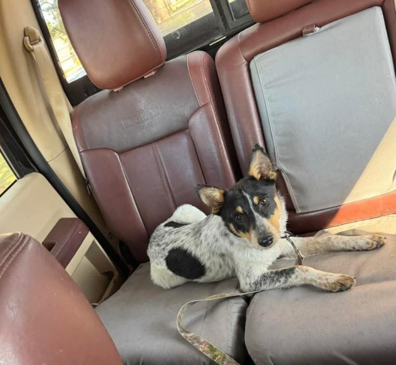 River Welcome Wiggle