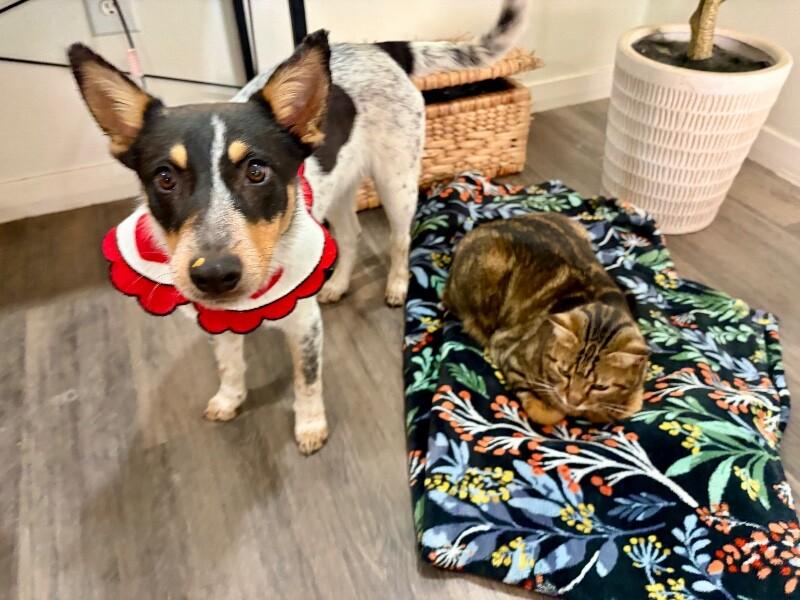 River Welcome Wiggle — thumbnail 2