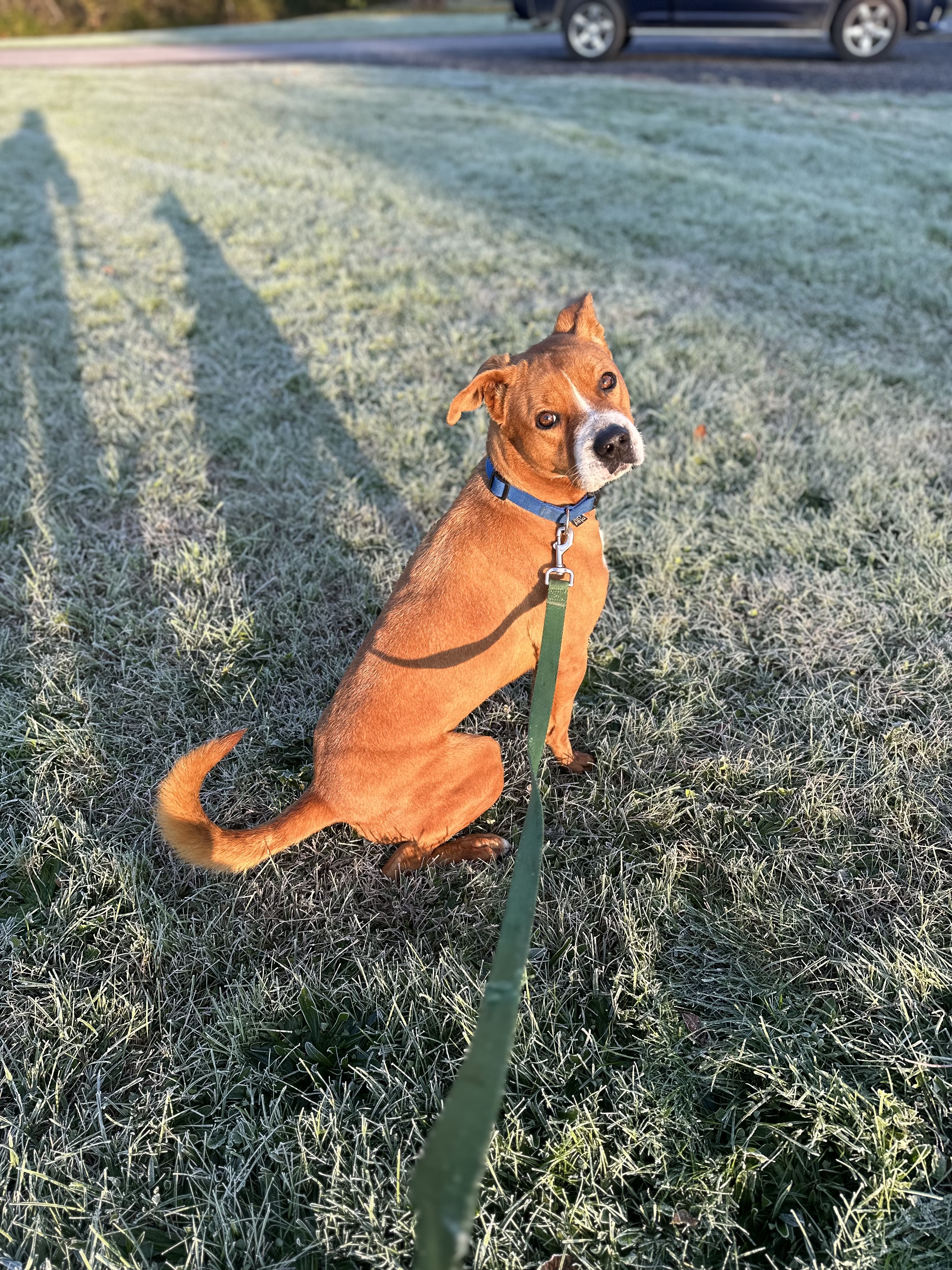 Charlie