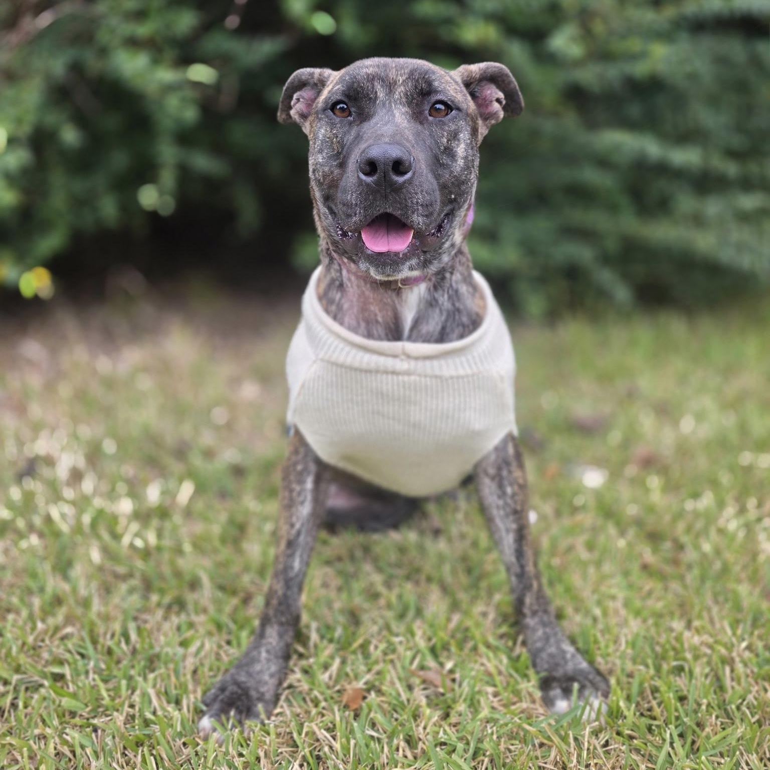 Kendrick — thumbnail 2