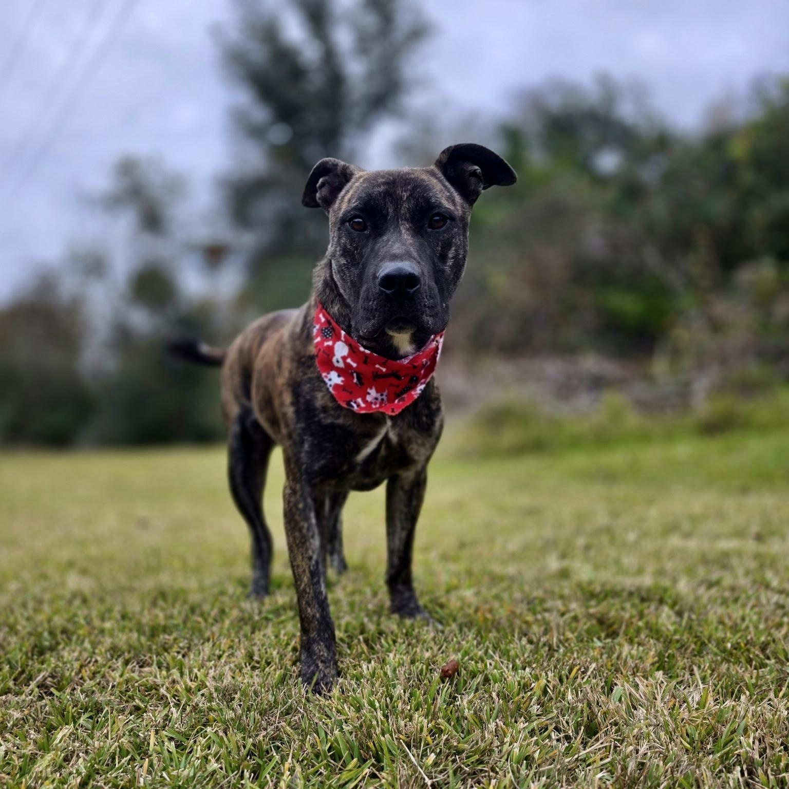 Kendrick — thumbnail 4