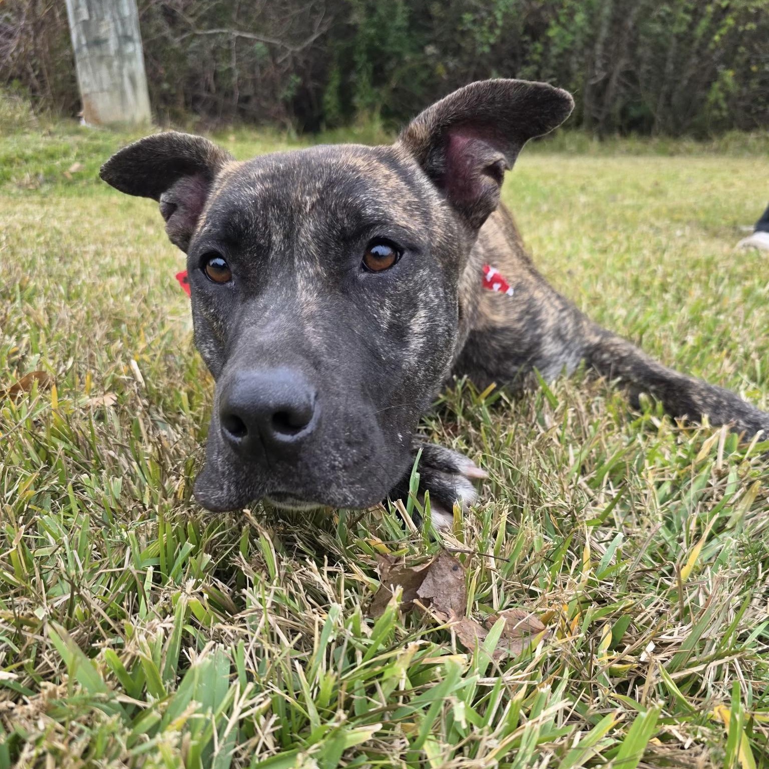 Kendrick — thumbnail 6