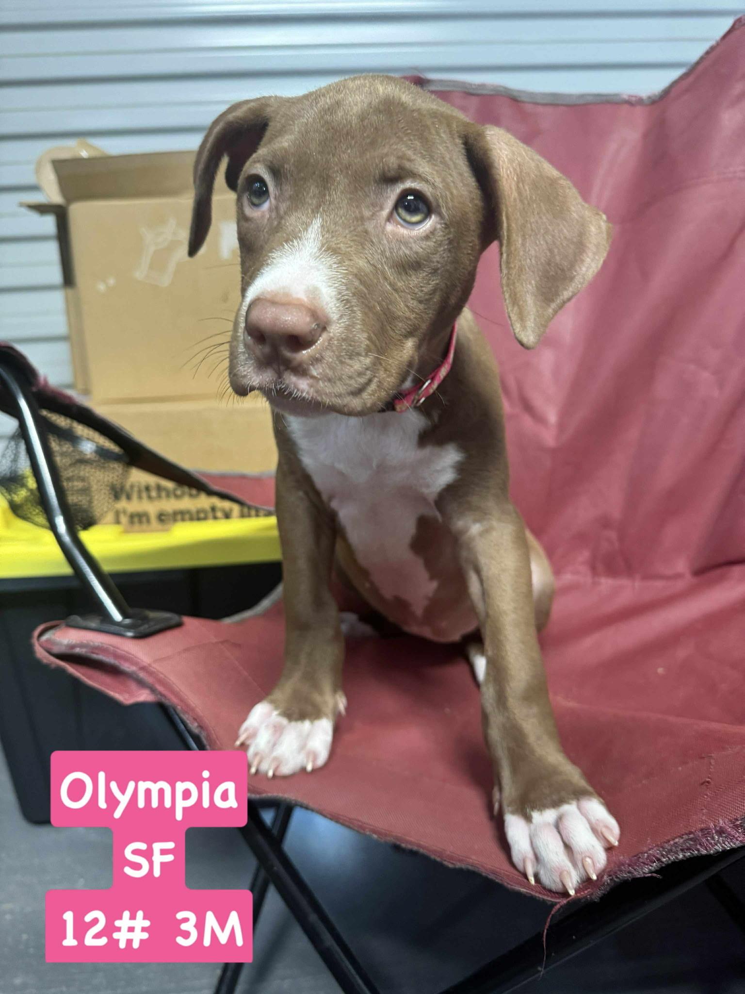 Olympia
