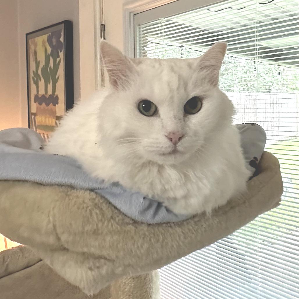 Bella Anne thumbnail 5