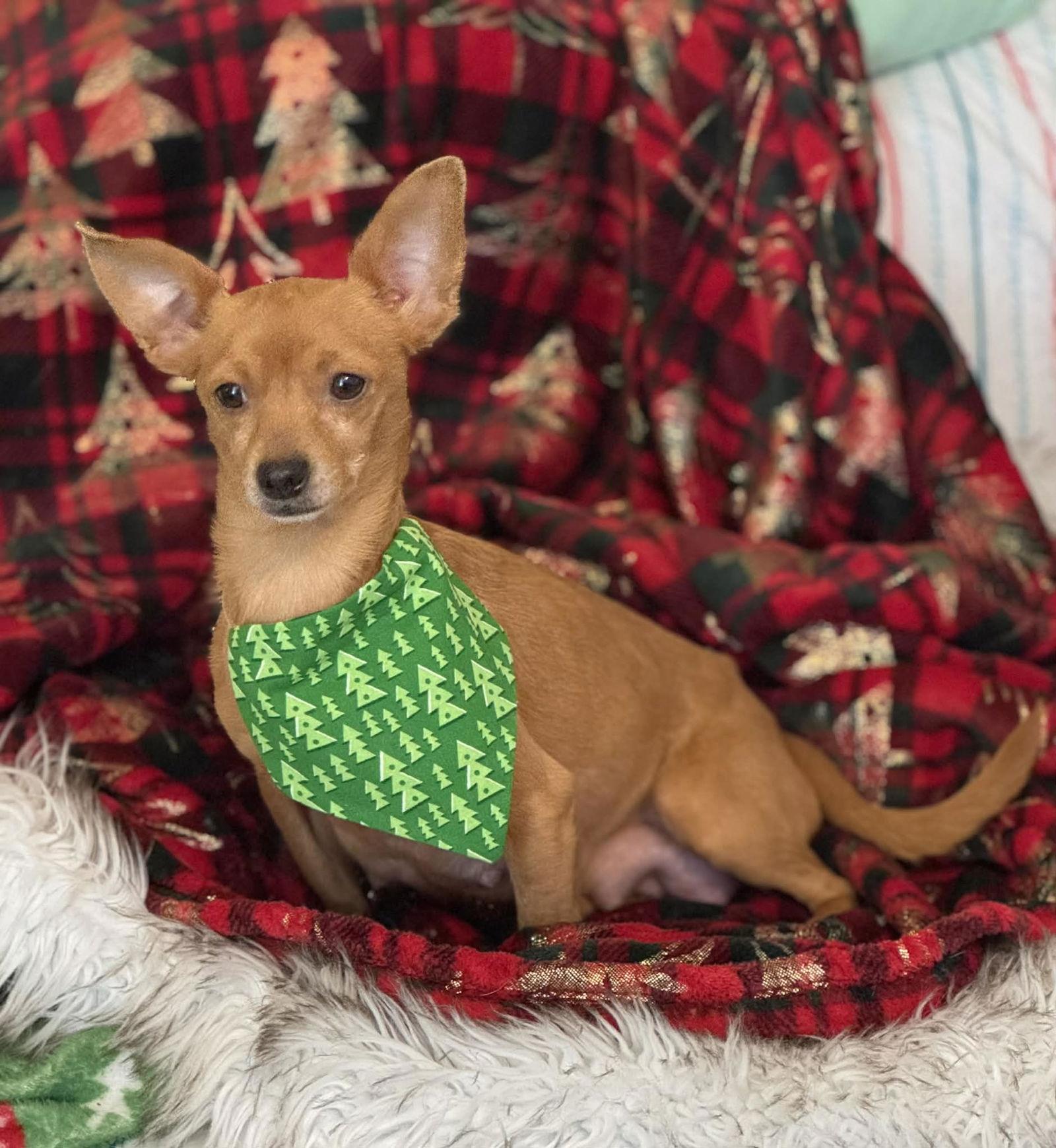 Fiona — thumbnail 3