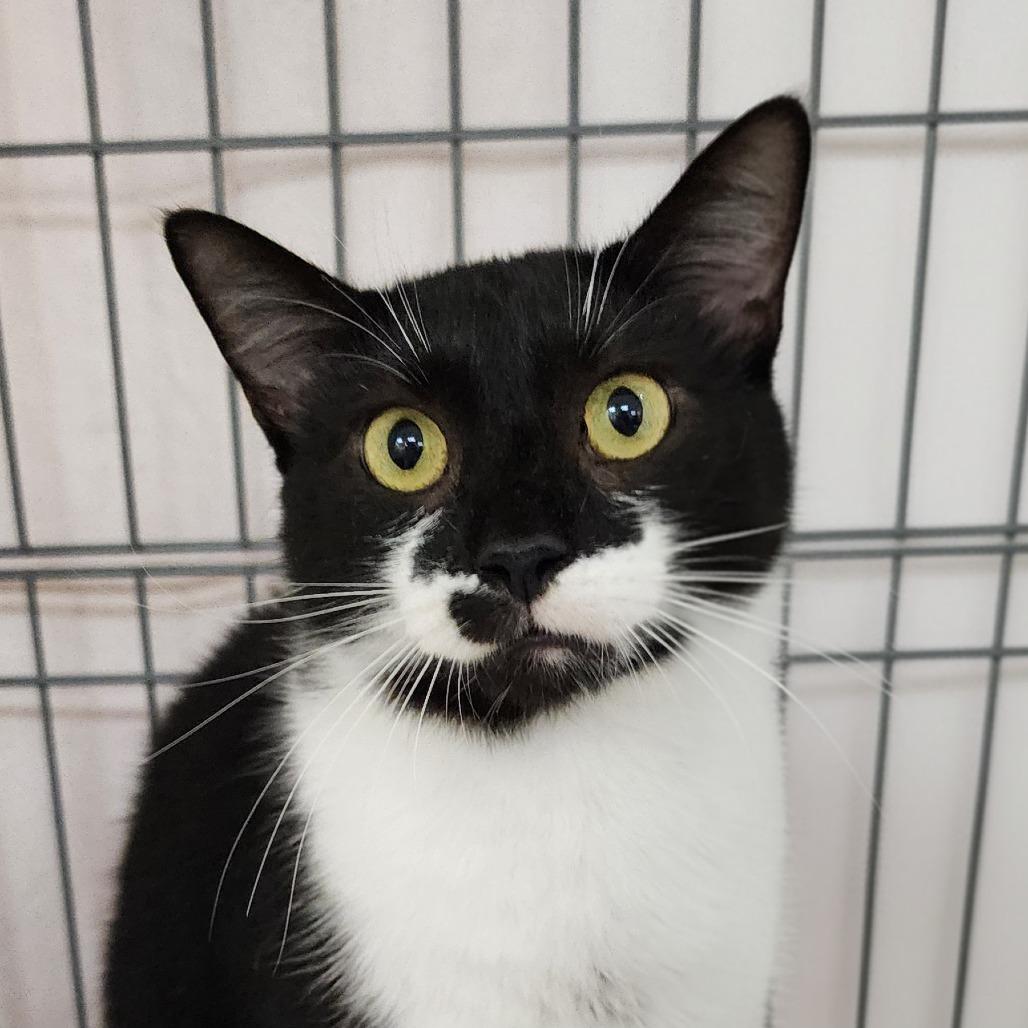 Gabe — thumbnail 2