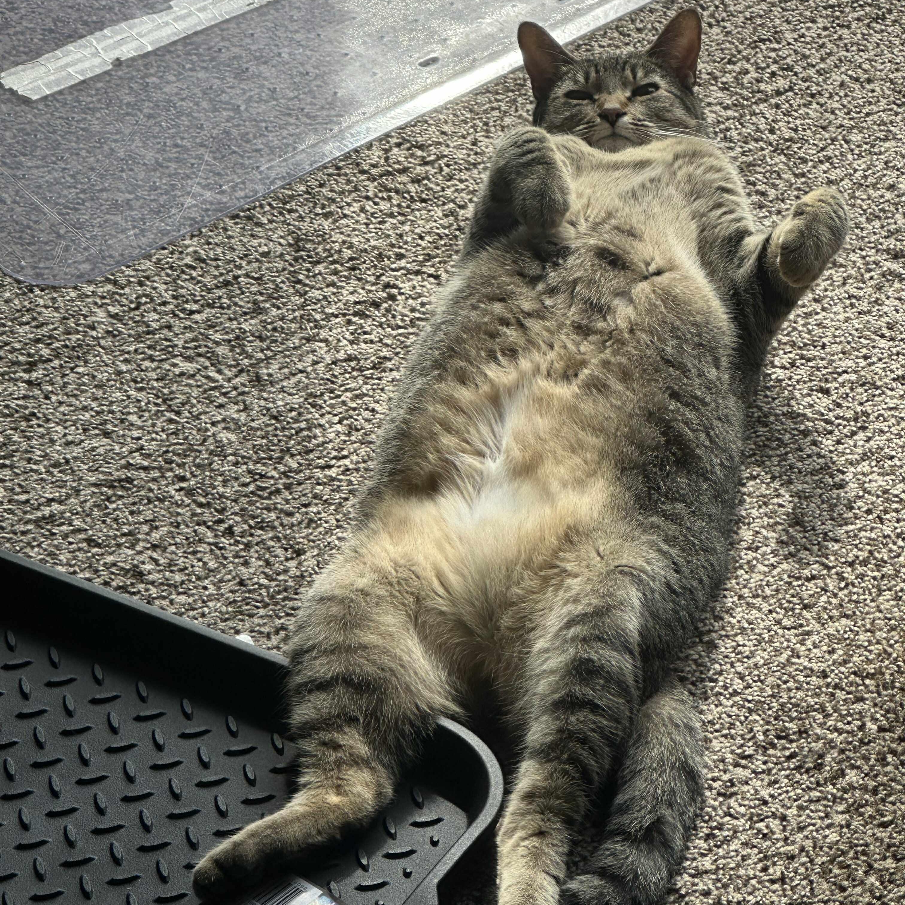 Kyoko and Chocolate Vanilla