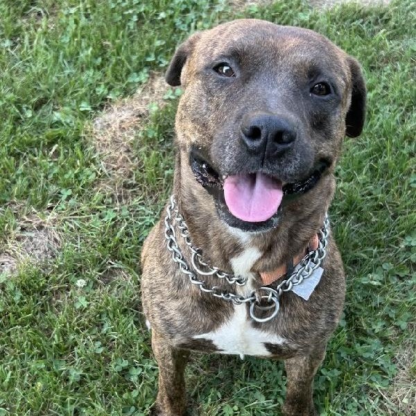JAX