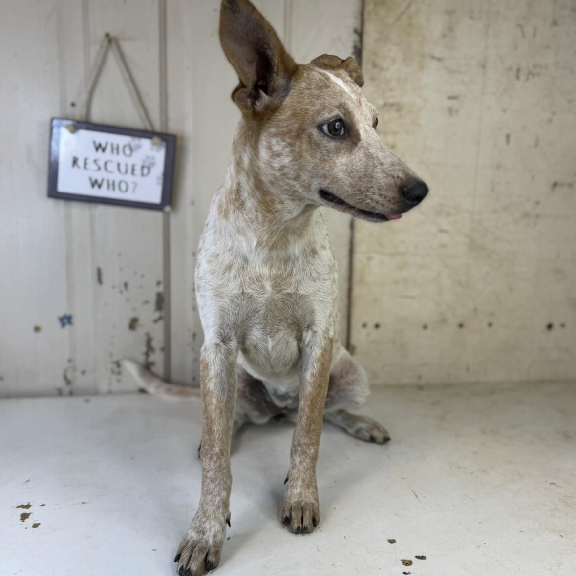 Camille $ thumbnail 6