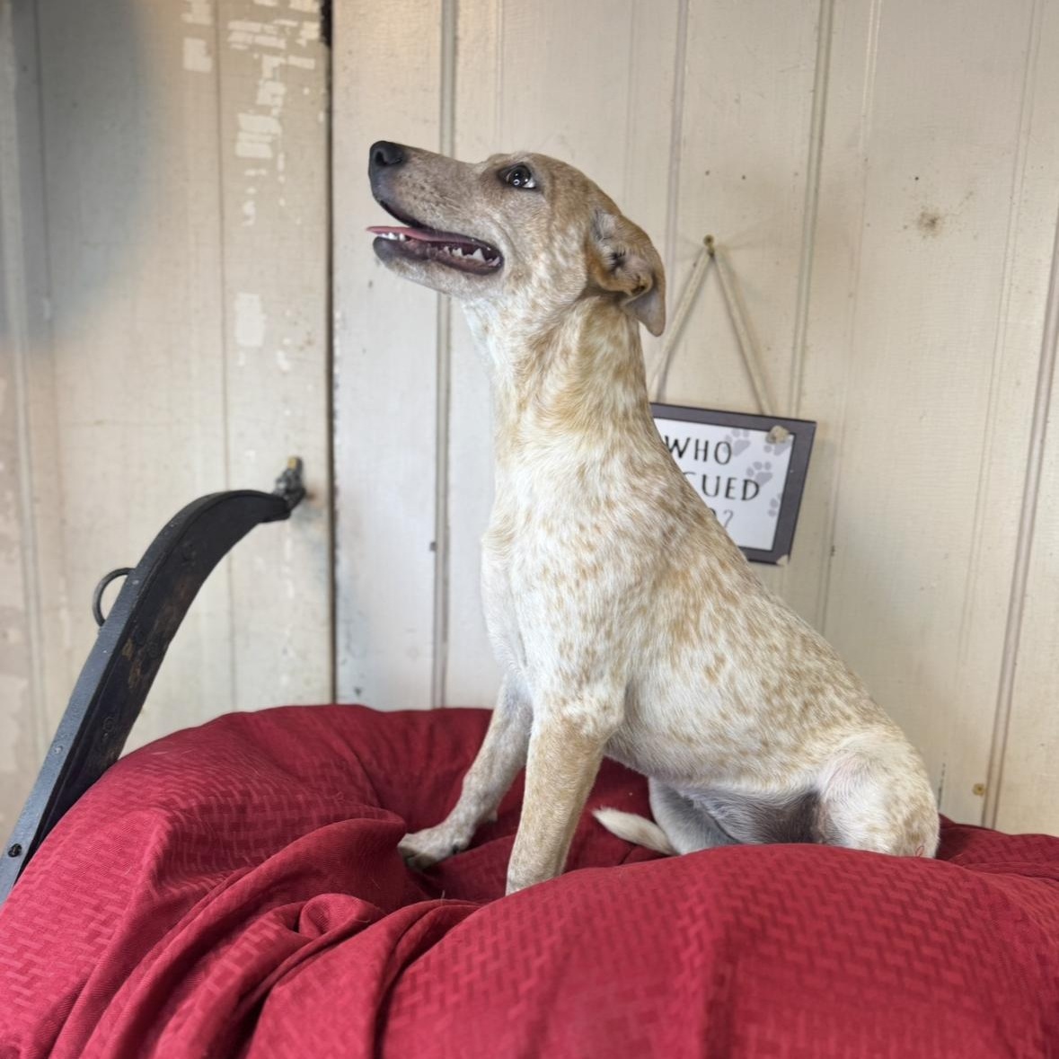 Camille $ thumbnail 4