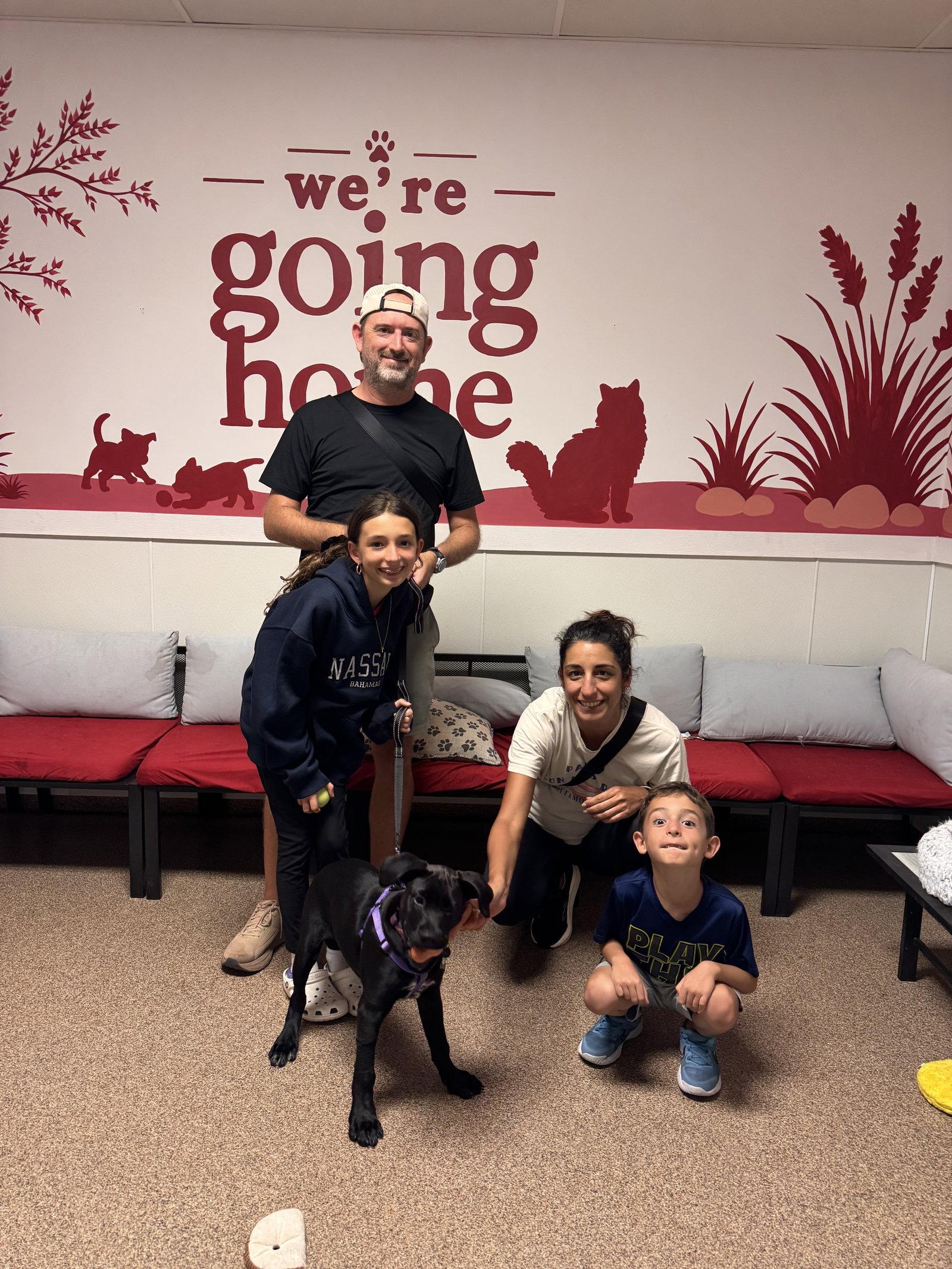 Enlarge Mara, a Adopted Labrador Retriever in Sanford, FL image 2/2