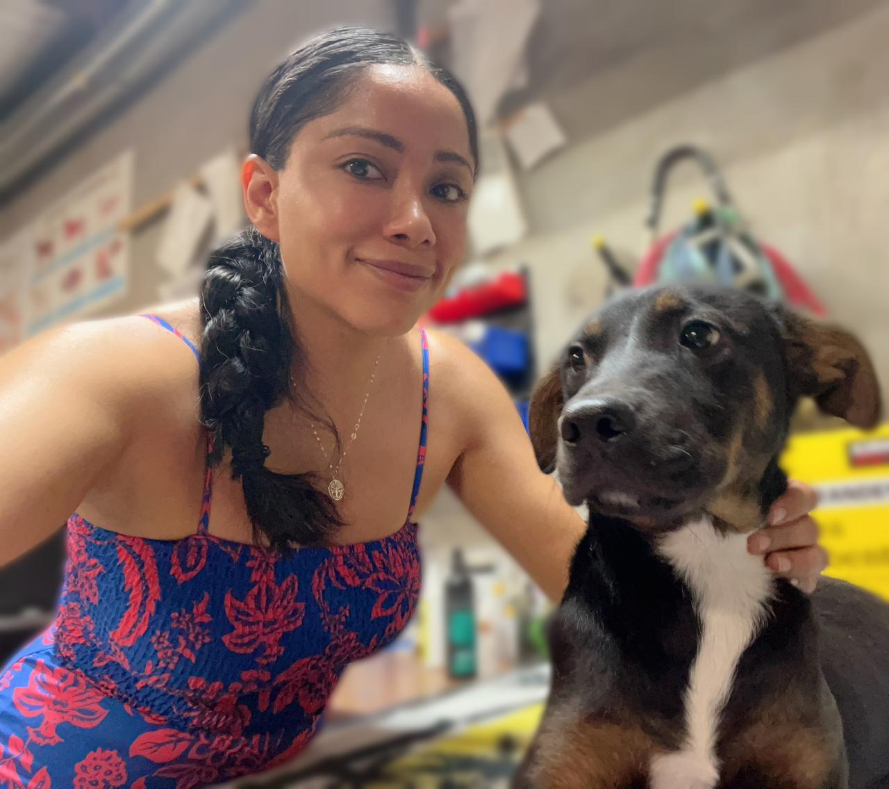 Ralph,,,, Adoptable, Young Male Cocker Spaniel & Shepherd.