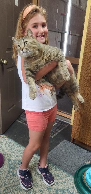 Enlarge Dean & Bruno. Bonded Pair, a Adopted mixed breed in Fayetteville, AR image 5/6