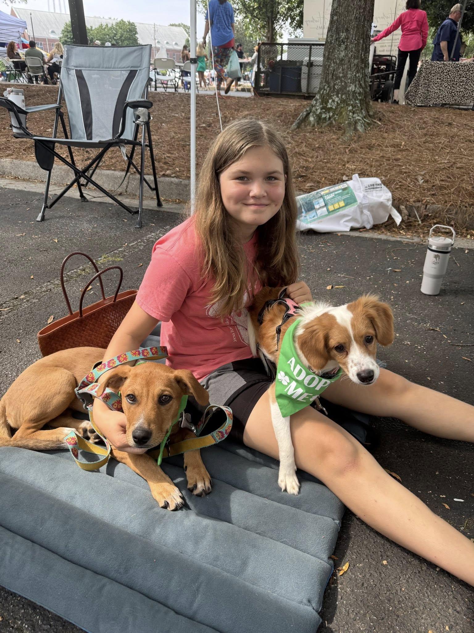 Enlarge ANITA, a Adopted mixed breed in Alpharetta, GA image 4/6