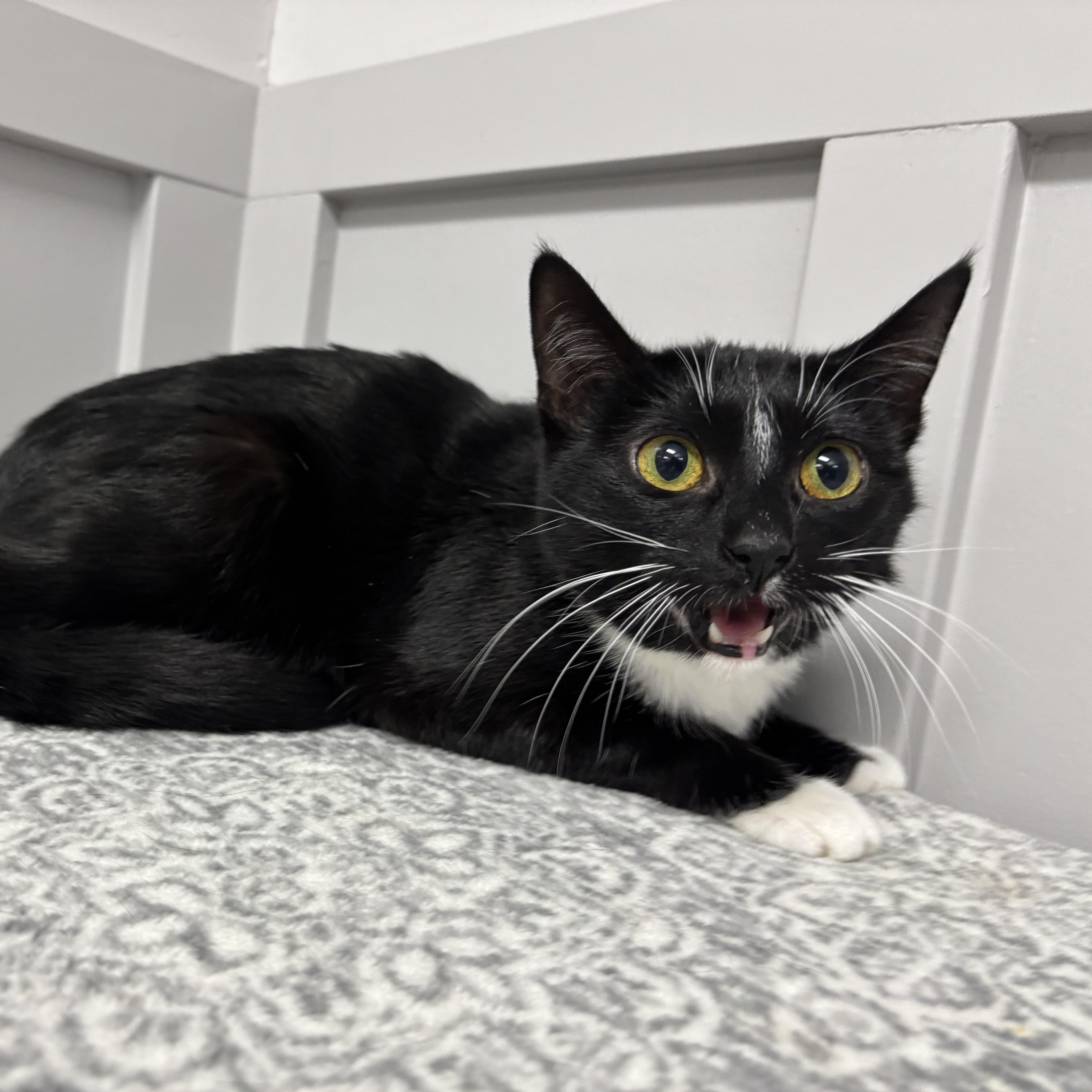 Maggie