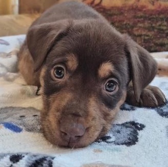 Daisy Mae Bloom — thumbnail 4