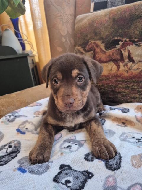 Daisy Mae Bloom — thumbnail 5