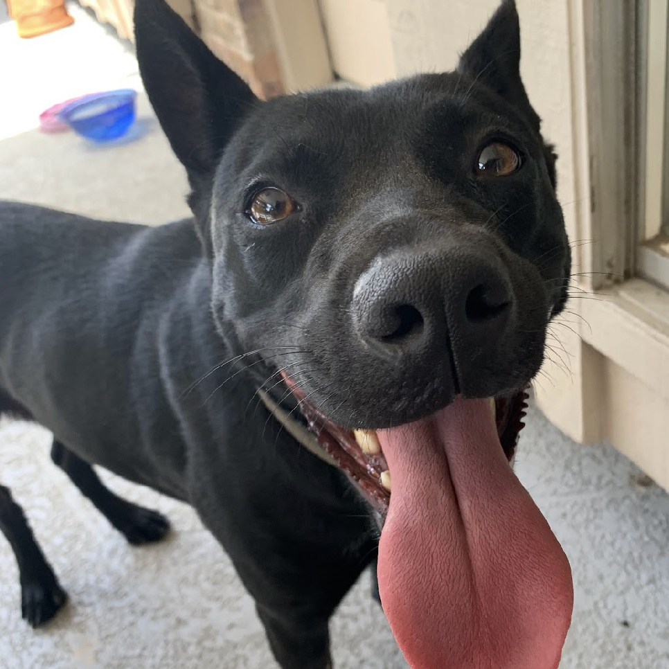 MISS LUNA — thumbnail 2