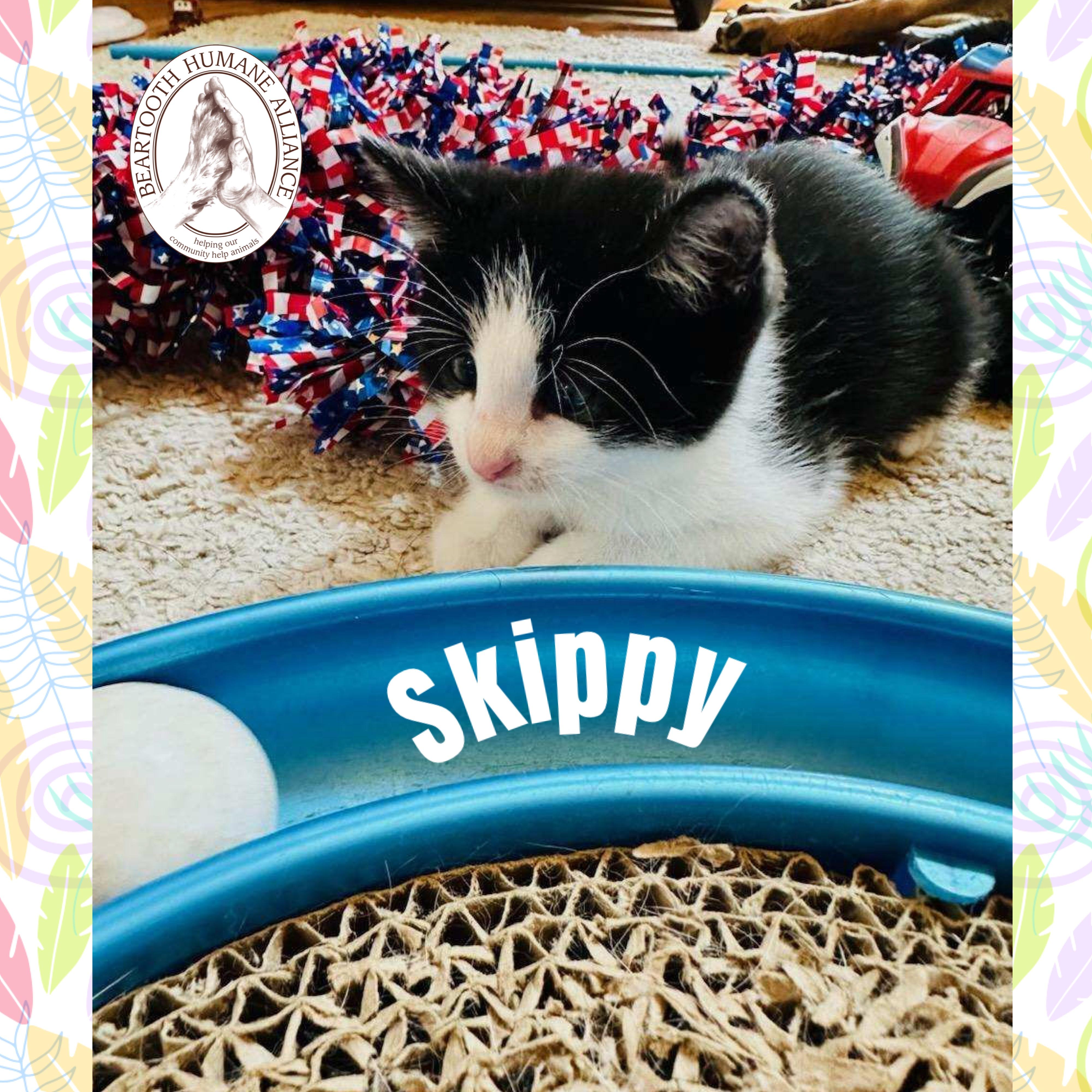 Skippy, Baby Male unknown