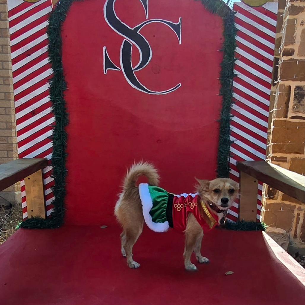 Pixie Dust Smg thumbnail 2