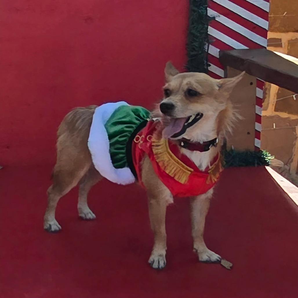 Pixie Dust Smg thumbnail 3