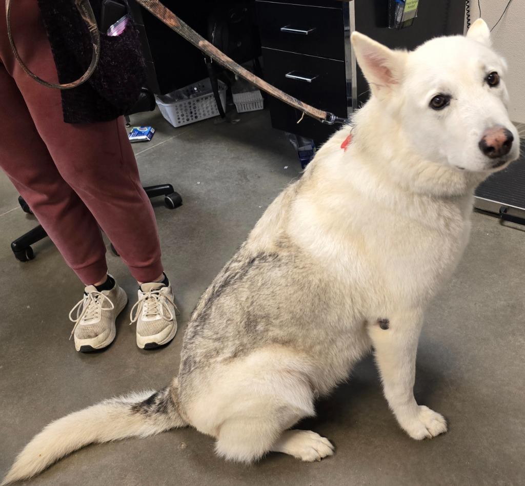 Hero — thumbnail 3