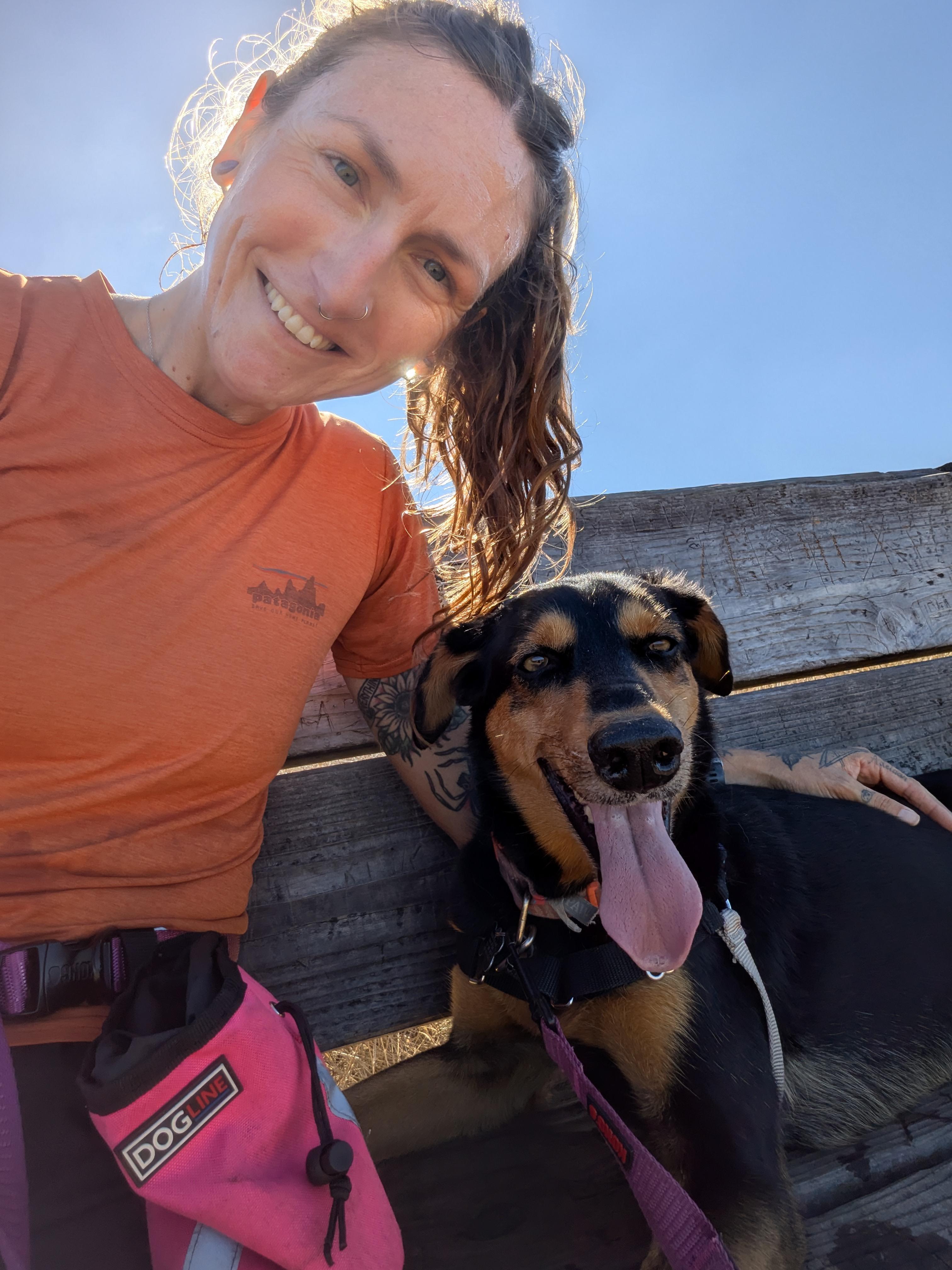 Enlarge Dolly, a ADOPTABLE mixed breed in Santa Rosa, CA image 6/6