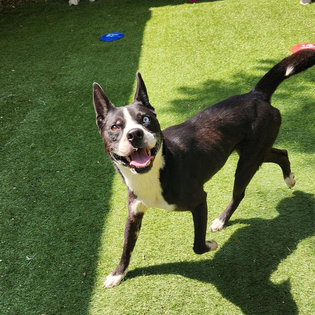 Delia JuM — thumbnail 3