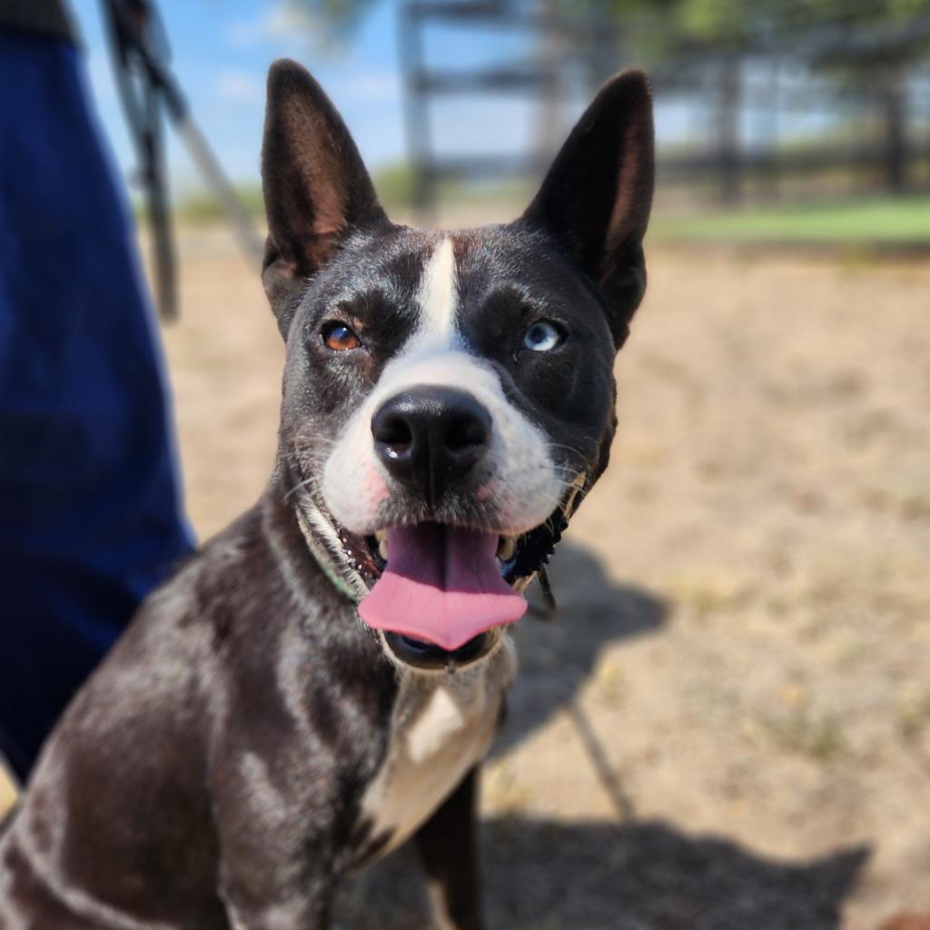 Delia JuM — thumbnail 4