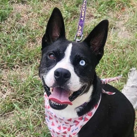 Delia JuM — thumbnail 6