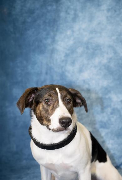 Reeba — thumbnail 2