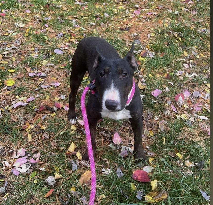 Mackenzie thumbnail 4