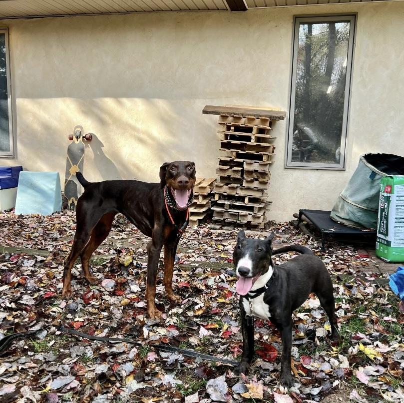 Mackenzie thumbnail 5