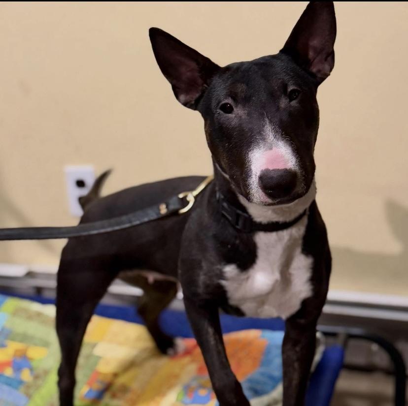 Mackenzie thumbnail 6