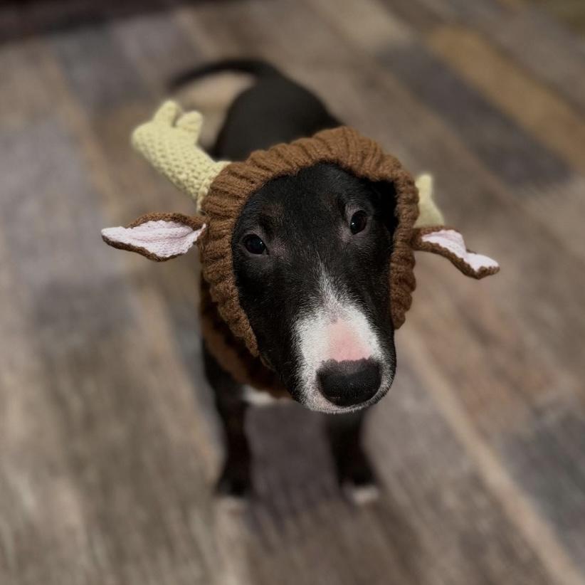 Mackenzie thumbnail 7