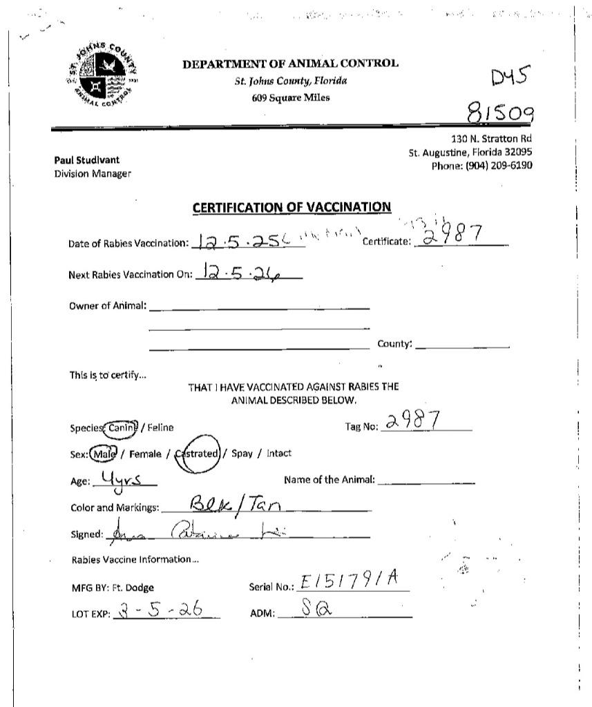 Little Man — thumbnail 2