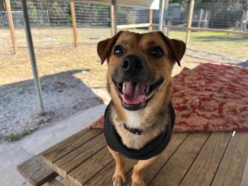 Little Man — thumbnail 3