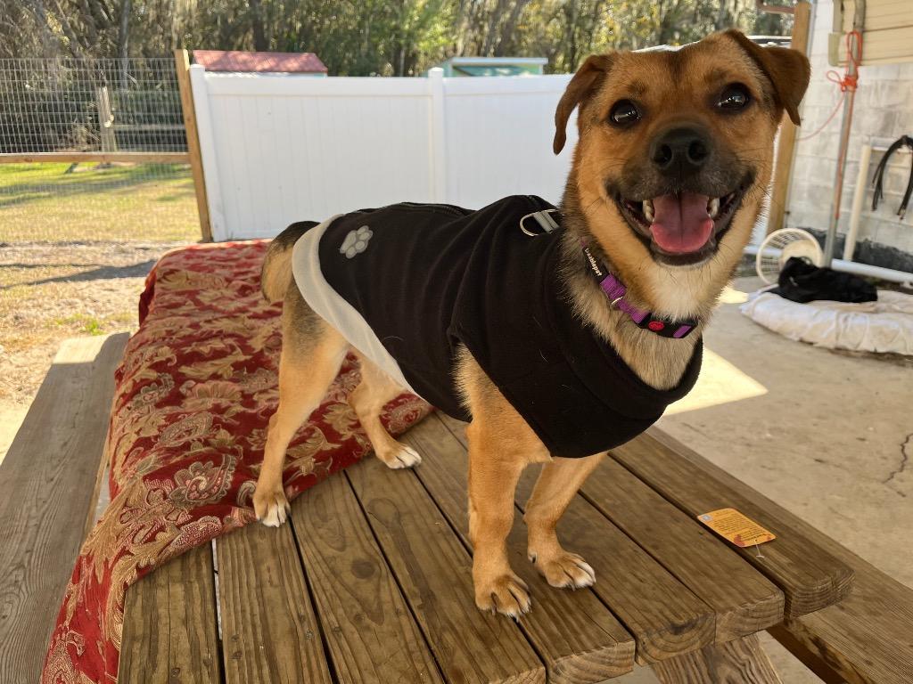 Little Man — thumbnail 4